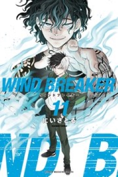 WIND BREAKER 11　コミックシーモア